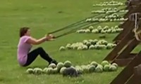 Wassermelone ins Gesicht schleudern