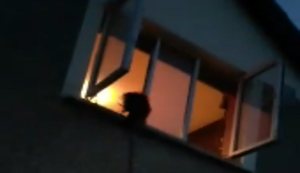 Der Fensterschreck