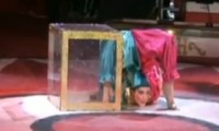 Zwei Clowns in einer Box