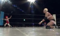 Mini-Wrestler