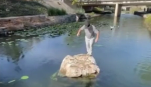 Trocken ans Ufer springen
