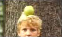 Robin Hood