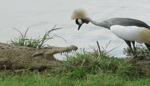 Bewegter Picturedump 398