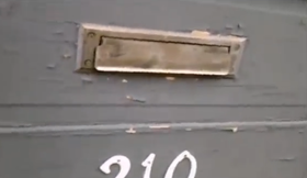 Katze hasst den Postboten