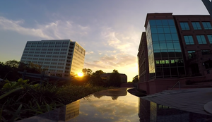 Profi an der Fernsteuerung