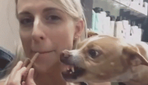 Bewegter Picturedump 215