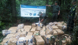 Spektakulärer Drogenfund