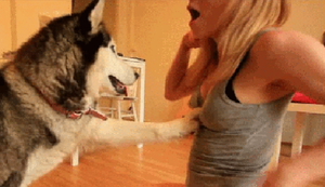 Bewegter Picturedump 318