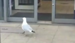 Bock auf einen Snack