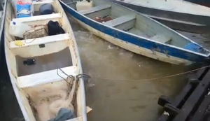 Fluss voller Piranhas