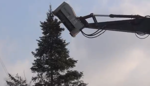 Bäume schreddern in Sekunden