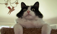 Bewegter Picturedump 157