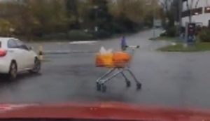 Einkaufswagen auf Tour