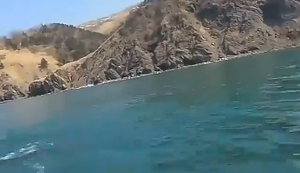 Begegnung auf dem Wasser