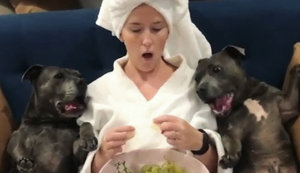 Bewegter Picturedump 438