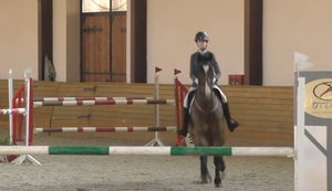Springreiten ohne Reiter