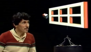 Ames Fenstertäuschung