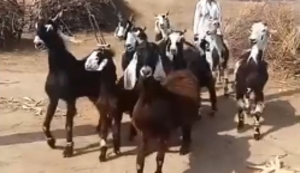 Mit den Jungs rausgehen