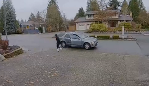 Weihnachtsgeschenke einsammeln