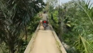 Schmale Brücke