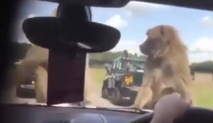 Ausflug in den Safari-Park