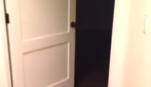 Auf frischer Tat ertappt