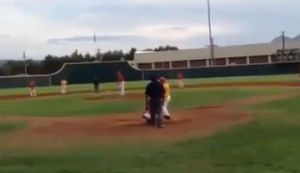 Kommt ein Baseball geflogen