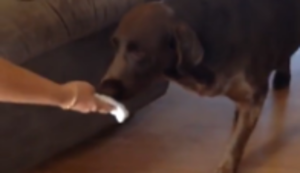 Wir bekommen ein Baby!