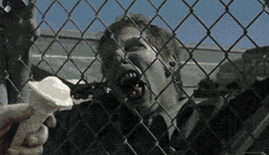 Bewegter Picturedump 224