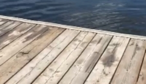 Wer steht denn da im Wasser?