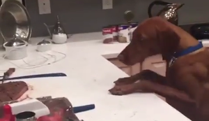 Er möchte dieses Steak