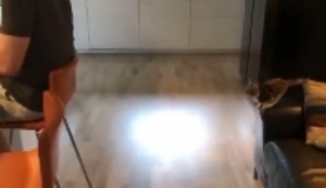 Kleine Katze setzt zum Sprung an