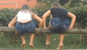 Bewegter Picturedump 376