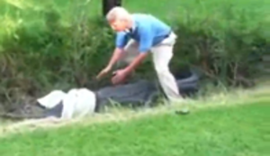 Krokodil mit bloßen Händen fangen