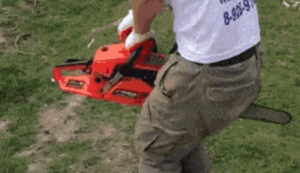 Bewegter Picturedump 477