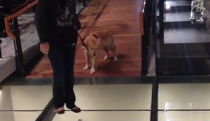 Über einen schmalen Pfad