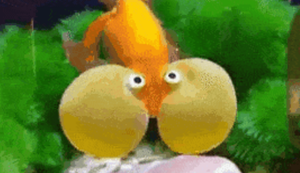 Bewegter Picturedump 430