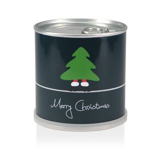 Weihnachtsbaum in der Dose Weihnachtsbaum in der Dose