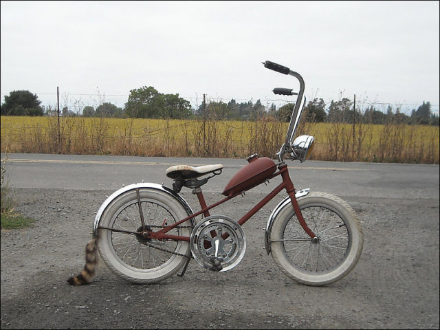 Coole Cruiser Fahrräder