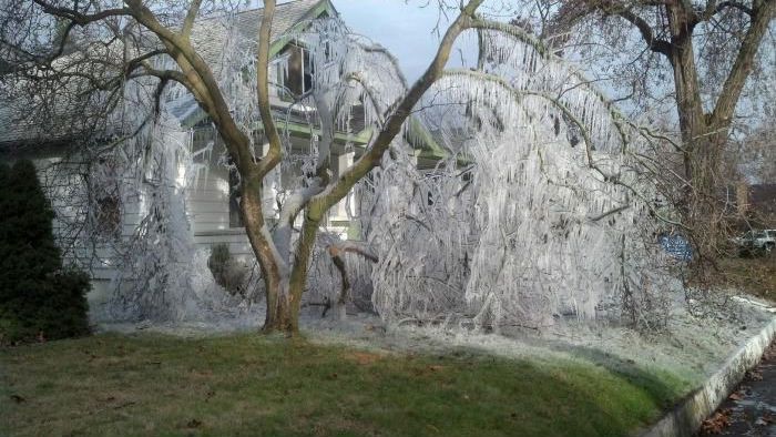 Sprinkler im Wintermodus