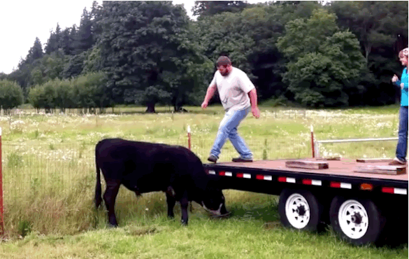 Bewegter Picturedump 309