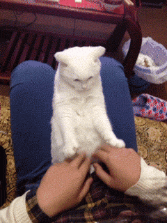 Bewegter Picturedump 309