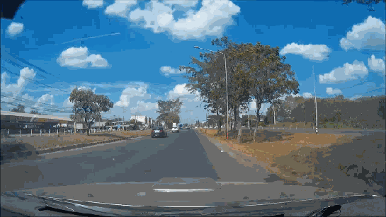 Bewegter Picturedump 309