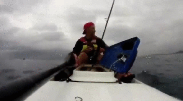 Bewegter Picturedump 309