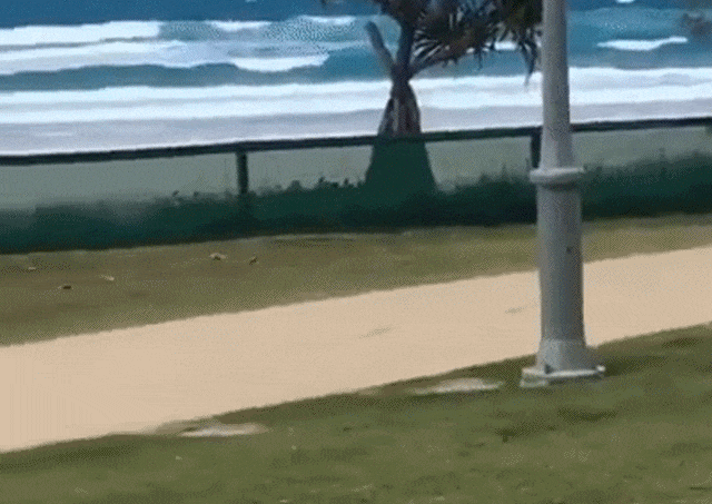 Bewegter Picturedump 374