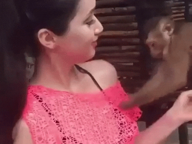 Bewegter Picturedump 374