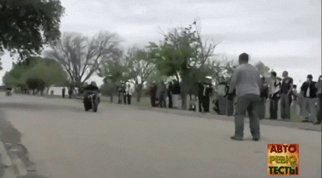 Bewegter Picturedump 374