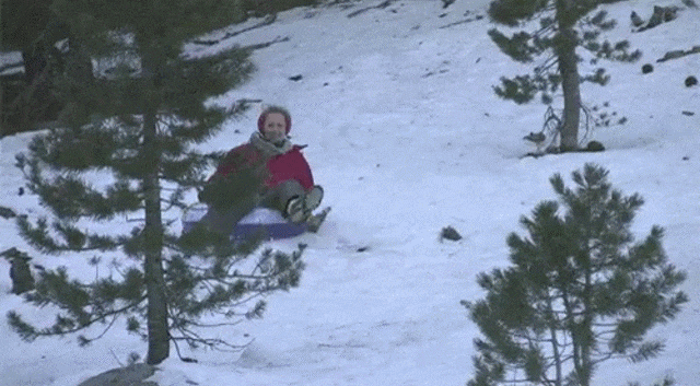 Bewegter Picturedump 374