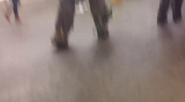 Bewegter Picturedump 374