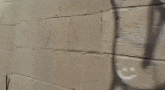 Bewegter Picturedump 374